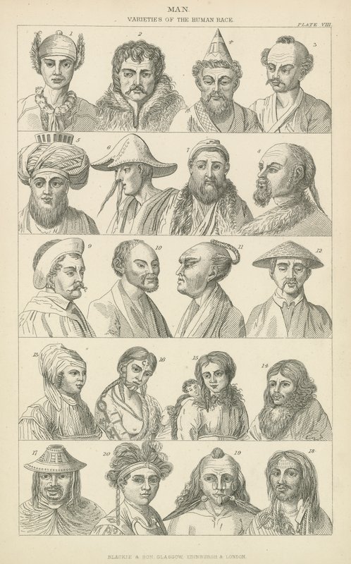Man. Varieties of the human race (engraving) بواسطة مدرسة اللغة الإنجليزية