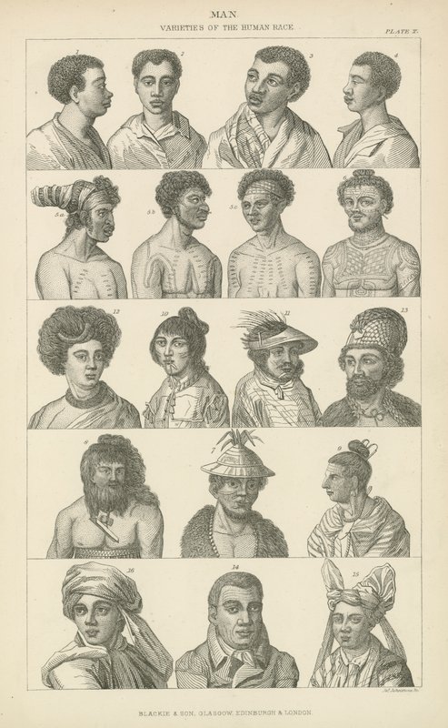 Man. Varieties of the human race (engraving) بواسطة مدرسة اللغة الإنجليزية