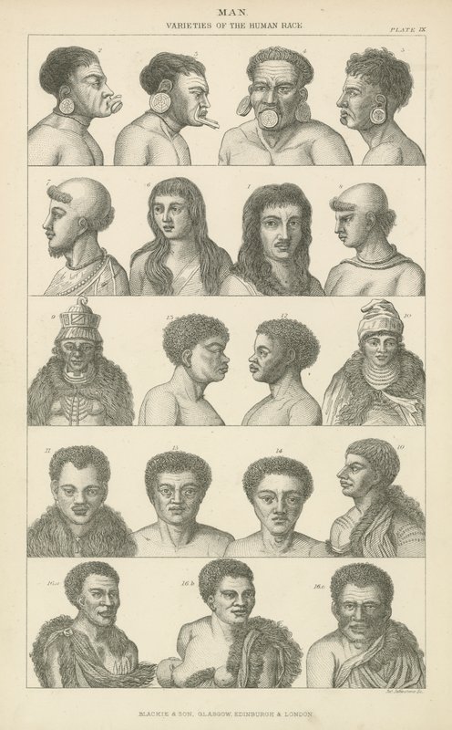 Man. Varieties of the human race (engraving) بواسطة مدرسة اللغة الإنجليزية