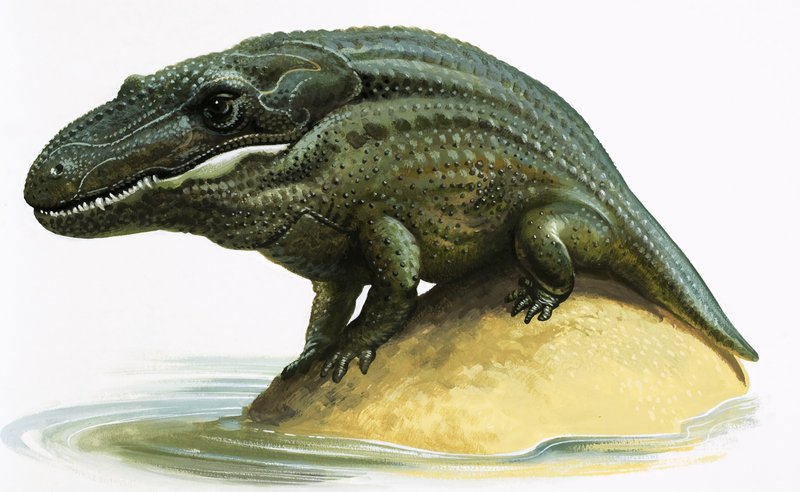 Mastodosaurus بواسطة مدرسة اللغة الإنجليزية