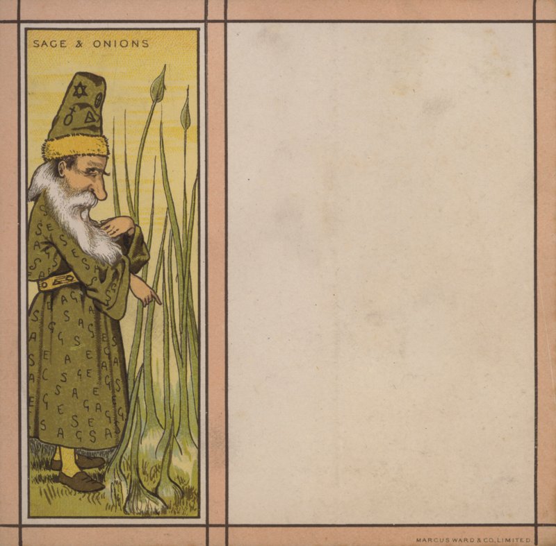 Menu illustration: Sage and onions (colour litho) بواسطة مدرسة اللغة الإنجليزية