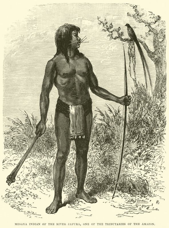 Mesaya Indian of the River Japura ، أحد روافد الأمازون بواسطة مدرسة اللغة الإنجليزية