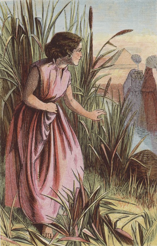 Miriam watching the Ark (coloured engraving) بواسطة مدرسة اللغة الإنجليزية
