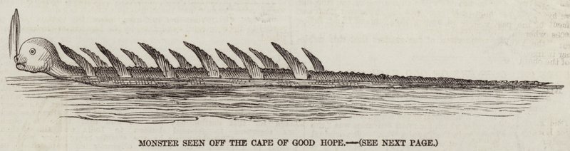 Monster seen off the Cape of Good Hope (engraving) بواسطة مدرسة اللغة الإنجليزية