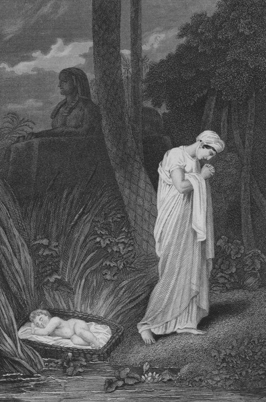Moses left in the Bullrushes (engraving) بواسطة مدرسة اللغة الإنجليزية