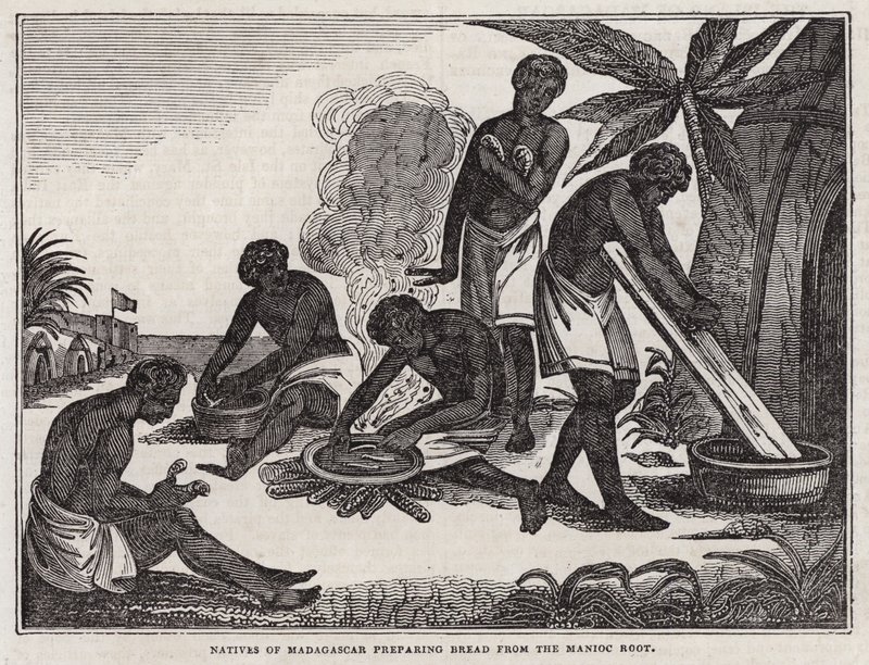 Natives of Madagascar preparing bread from manioc root (engraving) بواسطة مدرسة اللغة الإنجليزية