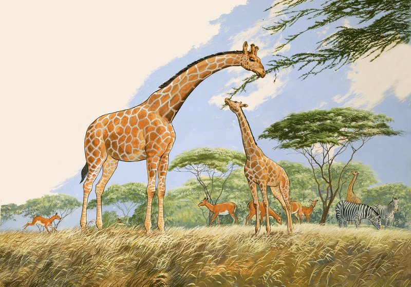 Nature Wonderland: شاي عالي للزرافة بواسطة مدرسة اللغة الإنجليزية