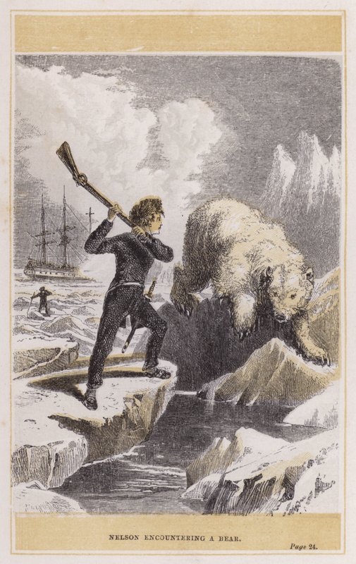 Nelson encountering a bear (coloured engraving) بواسطة مدرسة اللغة الإنجليزية
