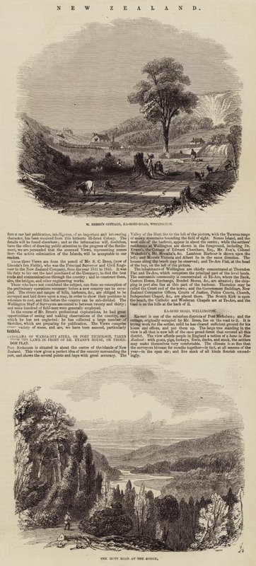 New Zealand (engraving) بواسطة مدرسة اللغة الإنجليزية