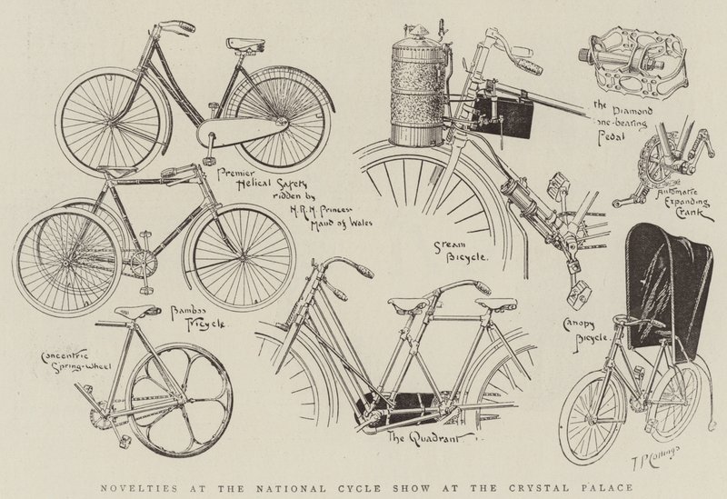 Novelties at the National Cycle Show at the Crystal Palace (engraving) بواسطة مدرسة اللغة الإنجليزية