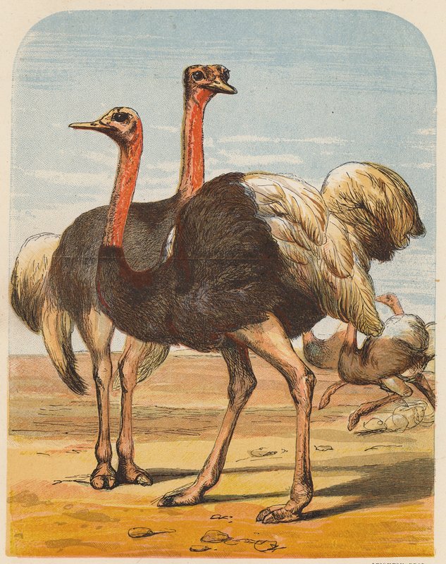  بواسطة مدرسة اللغة الإنجليزية
