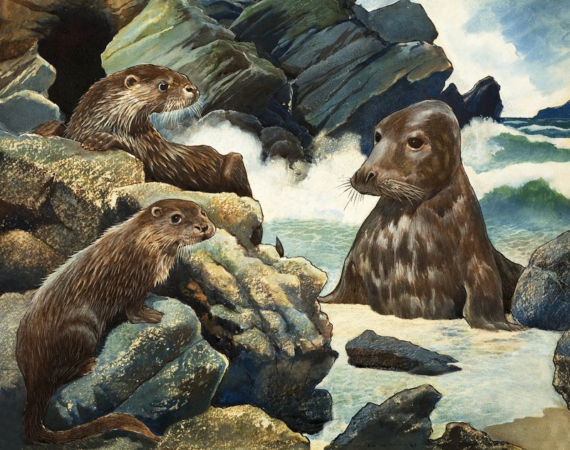 Otters و Walrus بواسطة مدرسة اللغة الإنجليزية