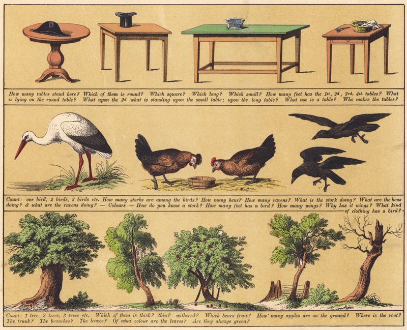 صفحة من كتاب الصور الجديد (لون ليثو) بواسطة مدرسة اللغة الإنجليزية