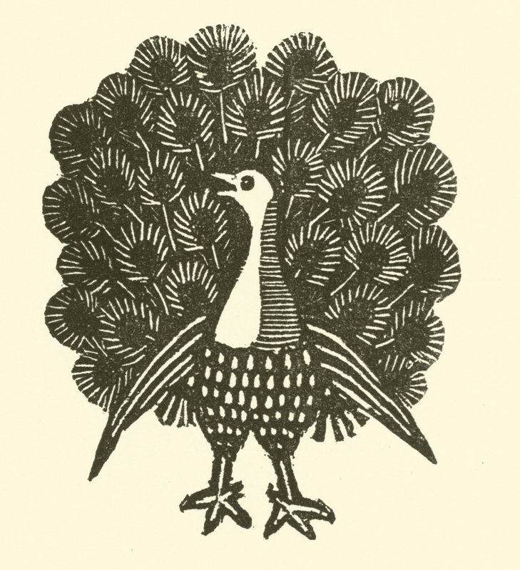 Peacock (woodcut) بواسطة مدرسة اللغة الإنجليزية