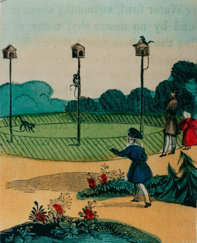 البولنديون الذين تم تقييدهم بالقرود في الصيف مثل القرود على لعبة العصا. 1840s بواسطة مدرسة اللغة الإنجليزية