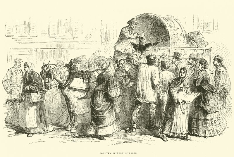 بائعو الدواجن في باريس ، أكتوبر 1870 بواسطة مدرسة اللغة الإنجليزية