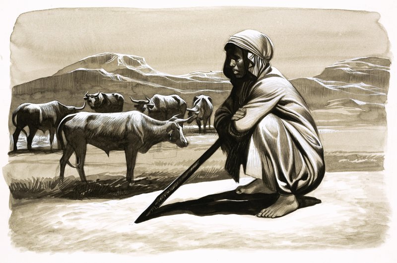 الناس البدائيون اليوم: القره - يسمونهم أبناء سبأ بواسطة مدرسة اللغة الإنجليزية