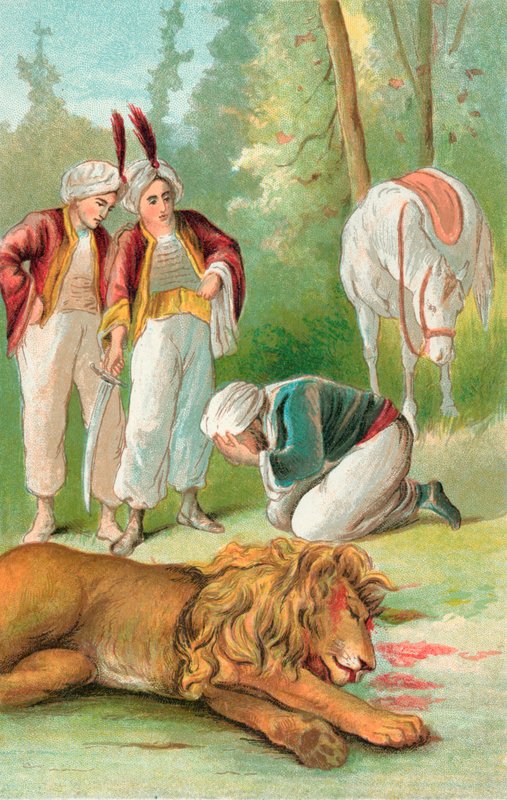 الأمير أمجد والأمير الأسد بواسطة مدرسة اللغة الإنجليزية