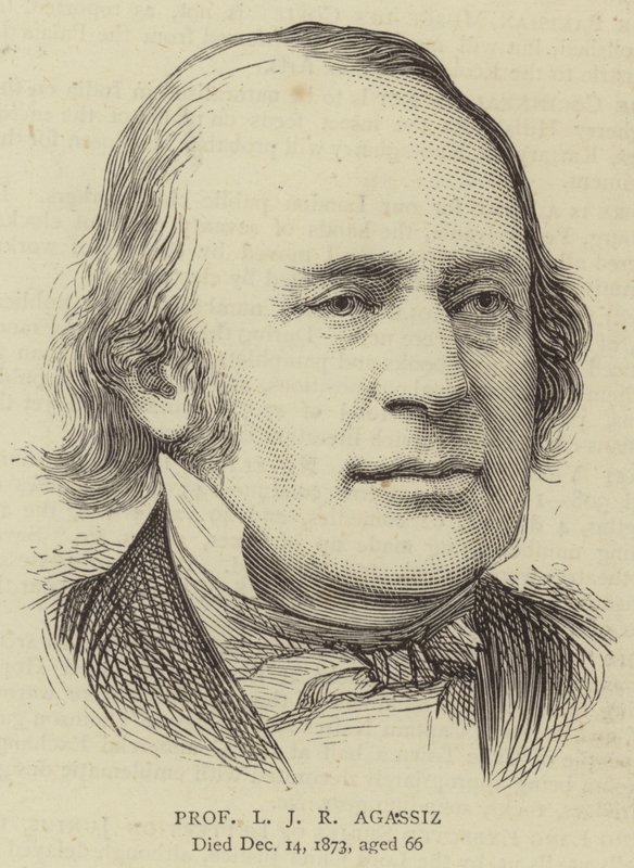 Professor L J R Agassiz (engraving) بواسطة مدرسة اللغة الإنجليزية