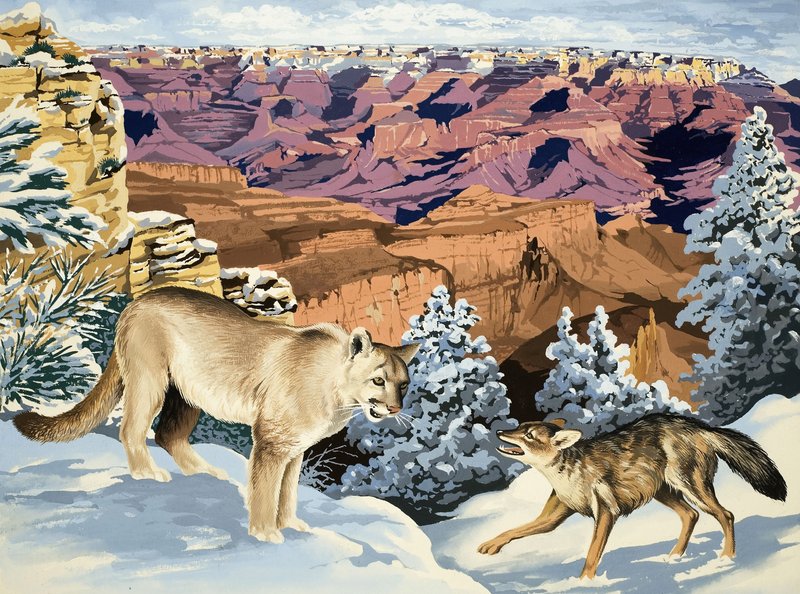 يلتقي Puma و Coyote في منتزه Grand Canyon الوطني بواسطة مدرسة اللغة الإنجليزية