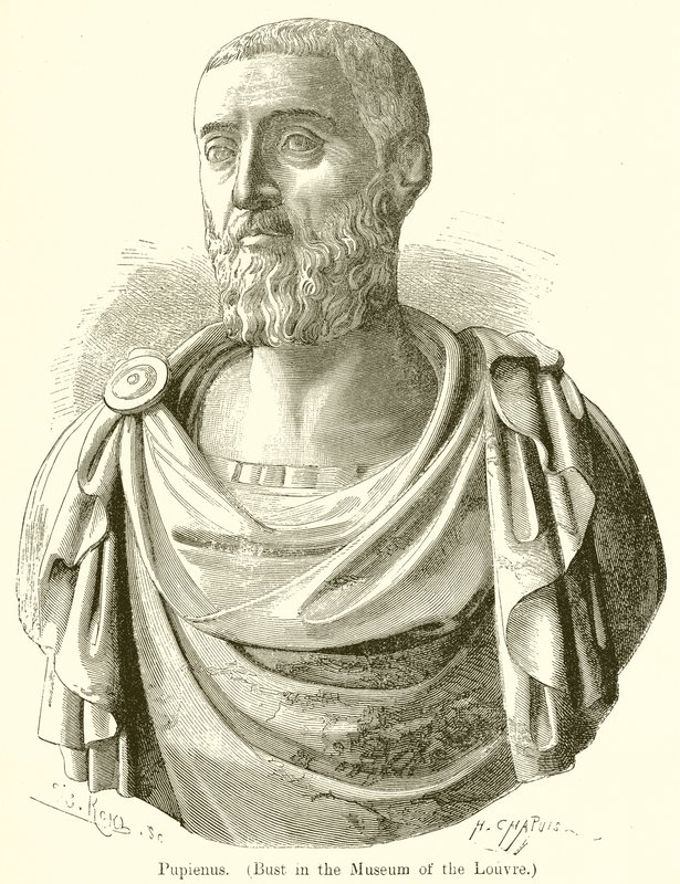 Pupienus. (تمثال نصفي في متحف اللوفر) بواسطة مدرسة اللغة الإنجليزية
