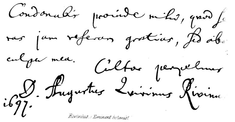 Rivinius ، (عالم نباتات بارز) بواسطة مدرسة اللغة الإنجليزية