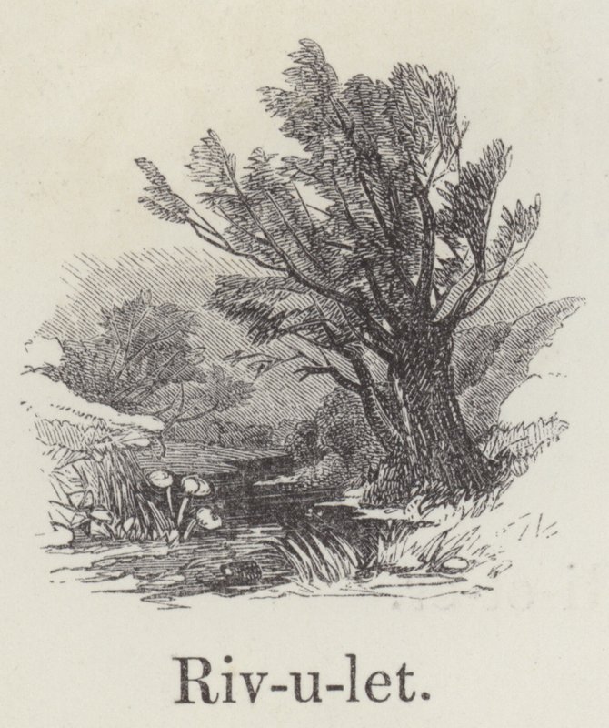 Rivulet (نقش) بواسطة مدرسة اللغة الإنجليزية