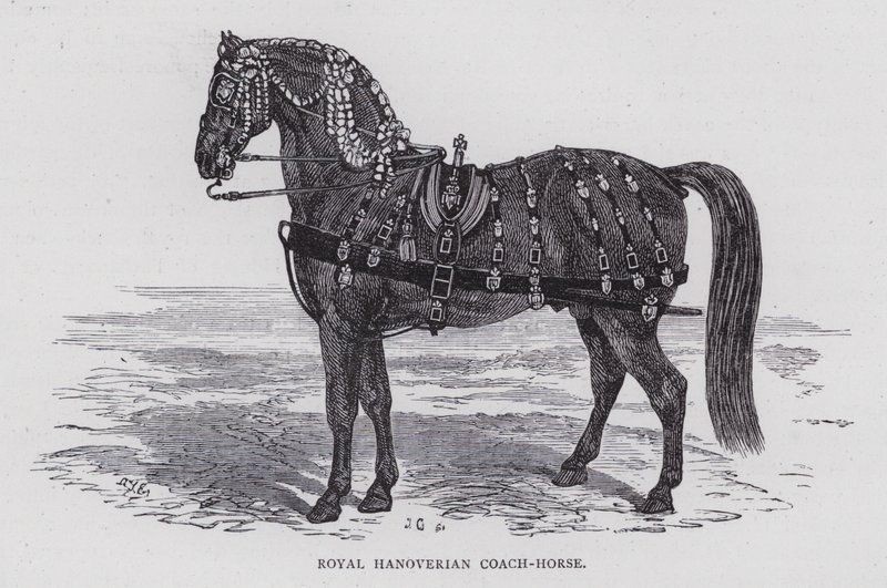 Royal Hanoverian Coach-Horse (engraving) بواسطة مدرسة اللغة الإنجليزية