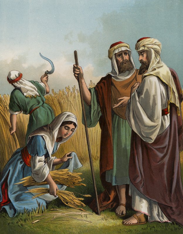 Ruth gleaning in the field of Boaz (chromolitho) بواسطة مدرسة اللغة الإنجليزية