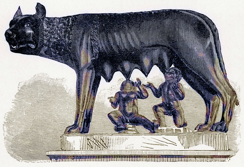 She-wolf of the Capitol ، توضيح من تاريخ روما بواسطة فيكتور دوروي ، نشر عام 1884 (صورة محسنة رقميًا) بواسطة مدرسة اللغة الإنجليزية