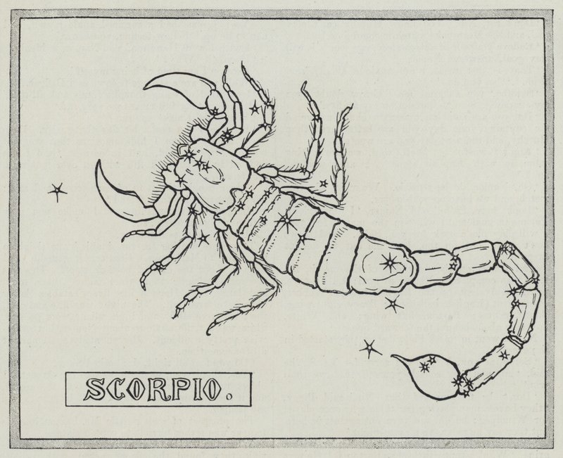 Signs of the zodiac: Scorpio (engraving) بواسطة مدرسة اللغة الإنجليزية