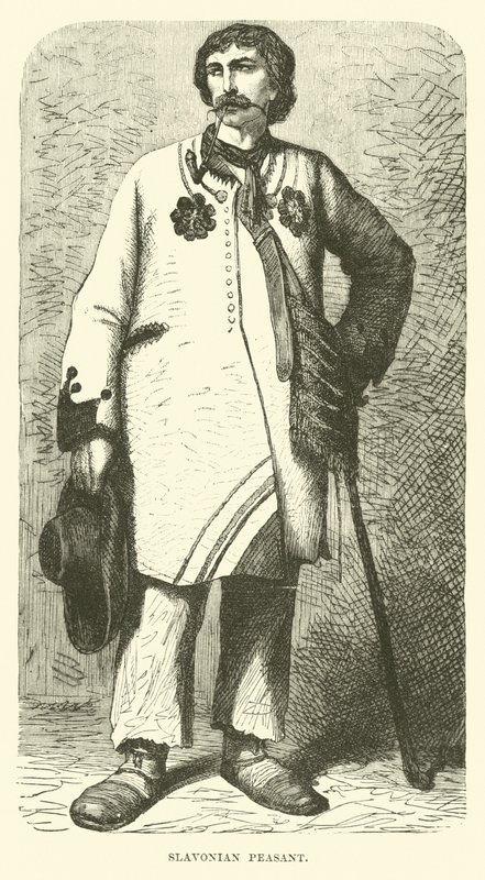 Slavonian peasant (engraving) بواسطة مدرسة اللغة الإنجليزية