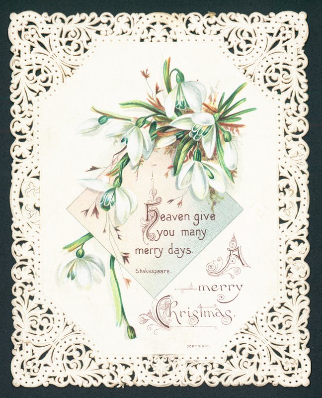 Snowdrops ، بطاقة عيد الميلاد بواسطة مدرسة اللغة الإنجليزية