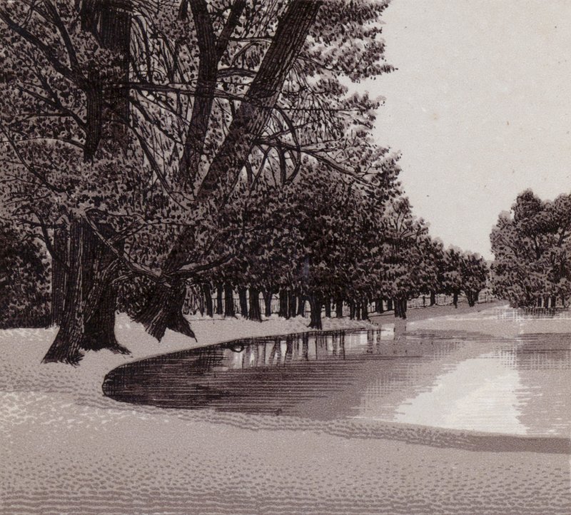 Sophia Gardens, Cardiff (litho) بواسطة مدرسة اللغة الإنجليزية
