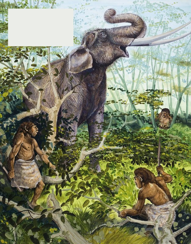 رجل العصر الحجري والفيل بواسطة مدرسة اللغة الإنجليزية
