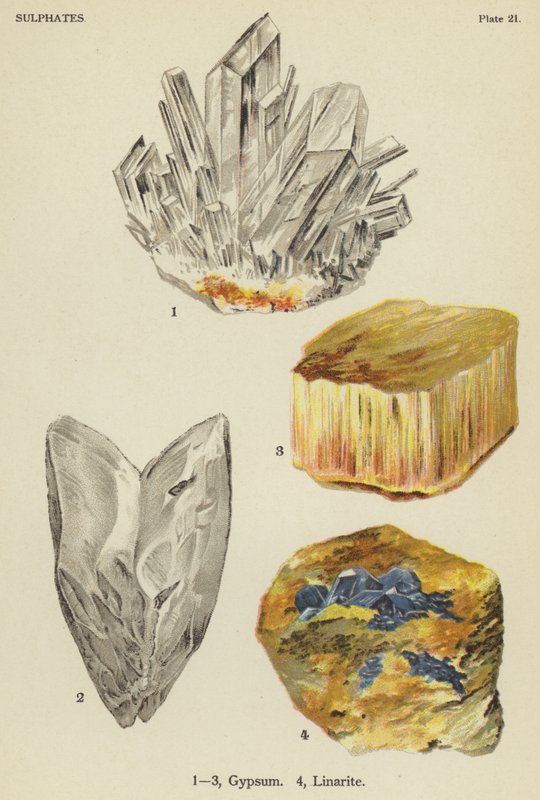 Sulphates, gypsum, linarite (colour litho) بواسطة مدرسة اللغة الإنجليزية