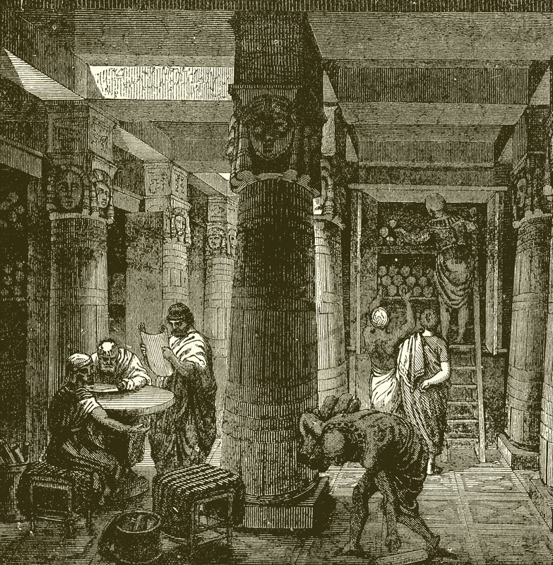 مكتبة الإسكندرية بواسطة مدرسة اللغة الإنجليزية