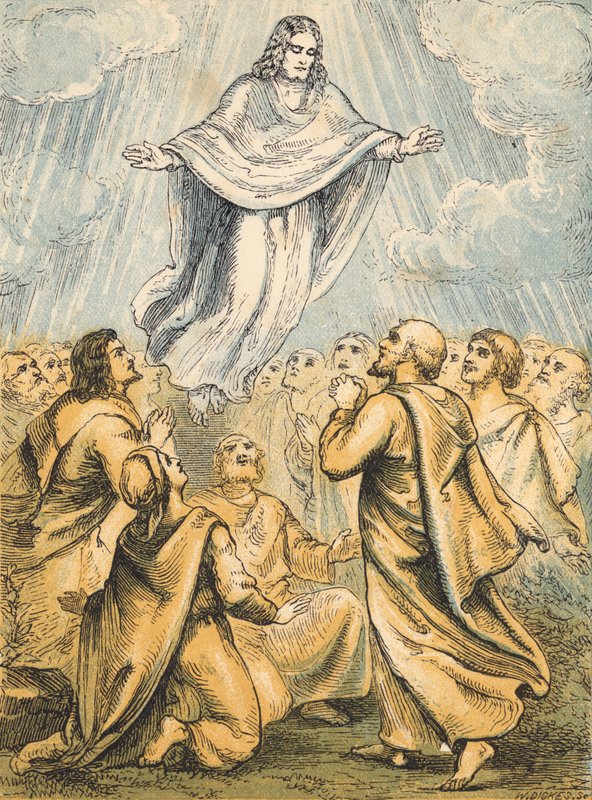 The Ascension (coloured engraving) بواسطة مدرسة اللغة الإنجليزية
