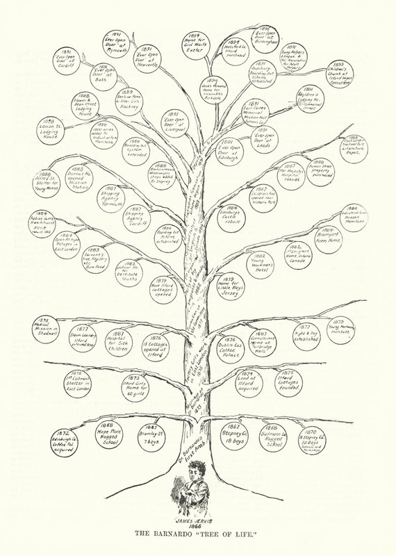 The Barnardo Tree of Life (lithograph) بواسطة مدرسة اللغة الإنجليزية