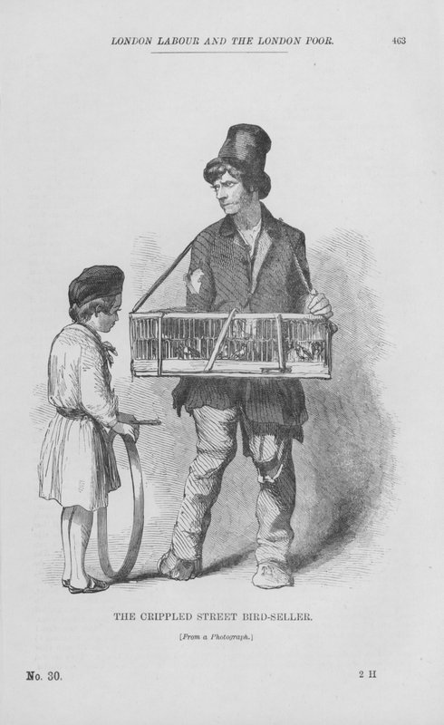 بائع الطيور المشلول (نقش) بواسطة مدرسة اللغة الإنجليزية