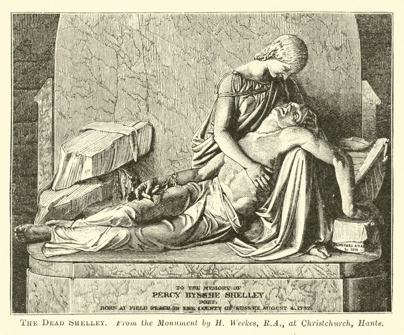 The Shelley الميت بواسطة مدرسة اللغة الإنجليزية