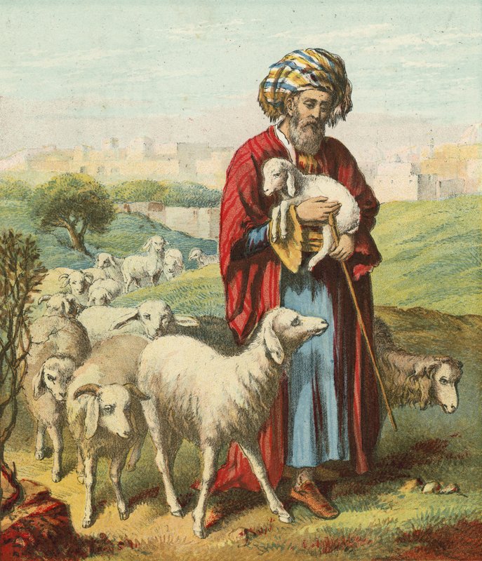 الراعي الصالح بواسطة مدرسة اللغة الإنجليزية