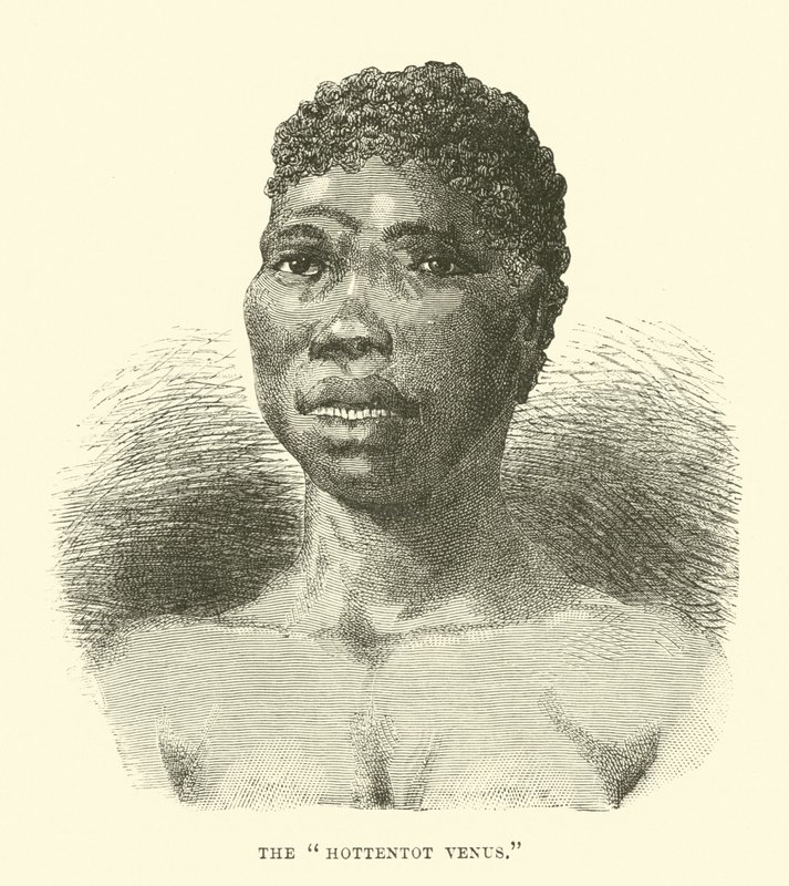 Hottentot Venus بواسطة مدرسة اللغة الإنجليزية