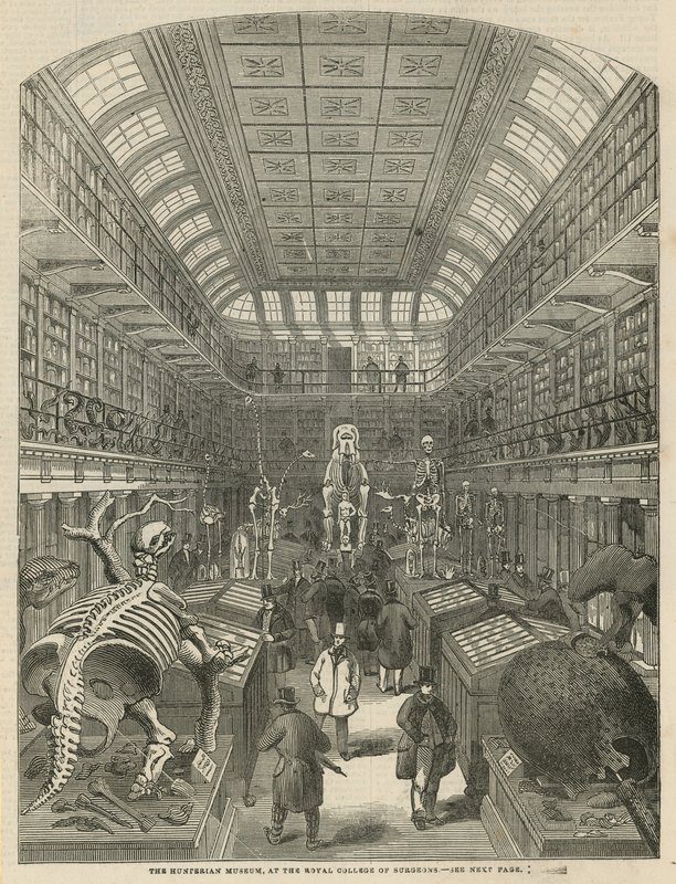 متحف Hunterian في الكلية الملكية للجراحين بواسطة مدرسة اللغة الإنجليزية