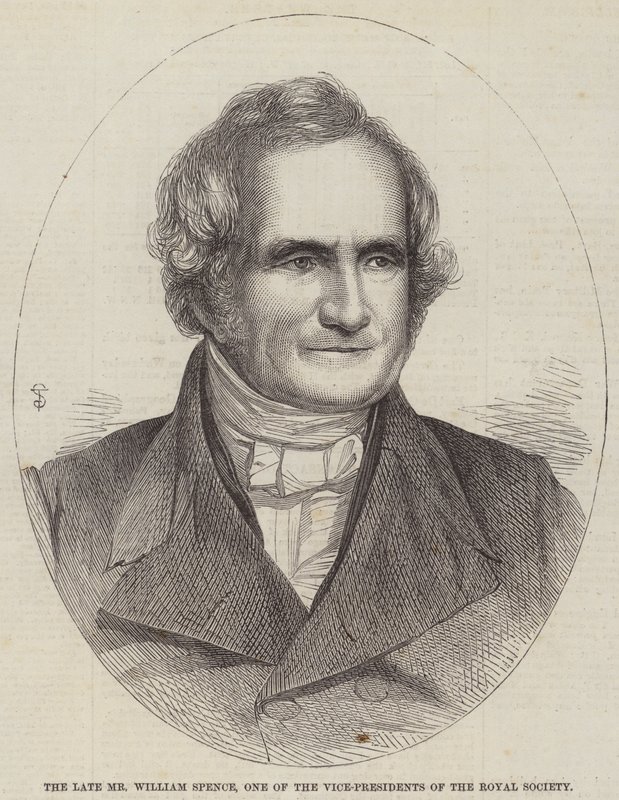 The Late Mr William Spence, One of the Vice-Presidents of the Royal Society (engraving) بواسطة مدرسة اللغة الإنجليزية
