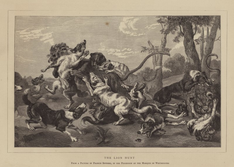 The Lion Hunt (engraving) بواسطة مدرسة اللغة الإنجليزية