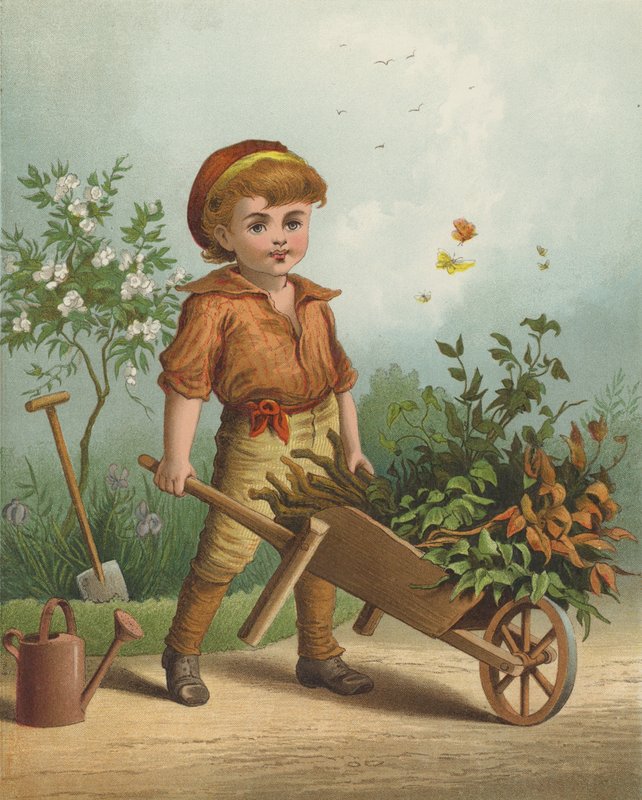 The Little Gardener (chromolitho) بواسطة مدرسة اللغة الإنجليزية