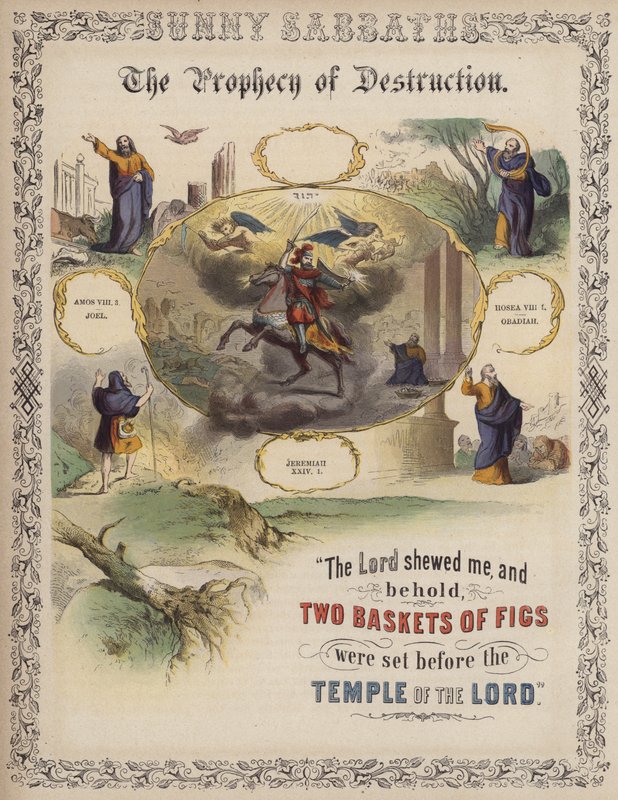 The Prophecy of Destruction (coloured engraving) بواسطة مدرسة اللغة الإنجليزية