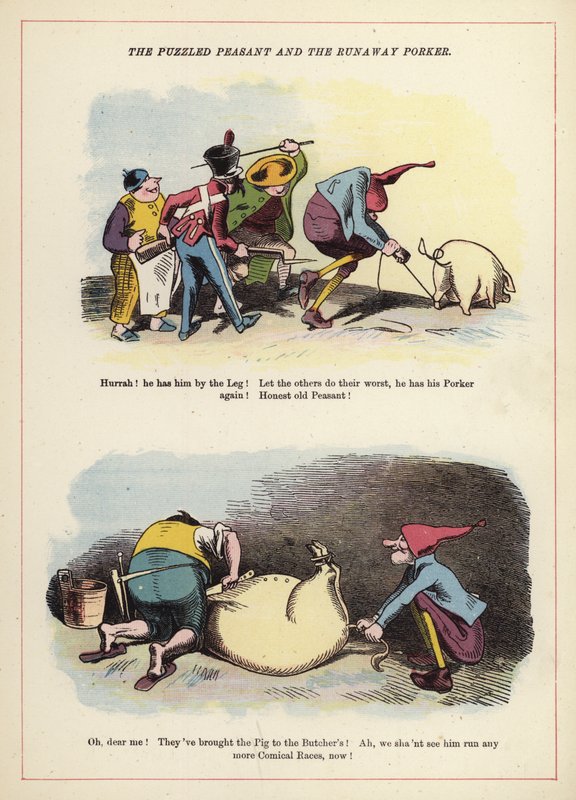 The Puzzled Peasant and the Runaway Porker (colour litho) بواسطة مدرسة اللغة الإنجليزية