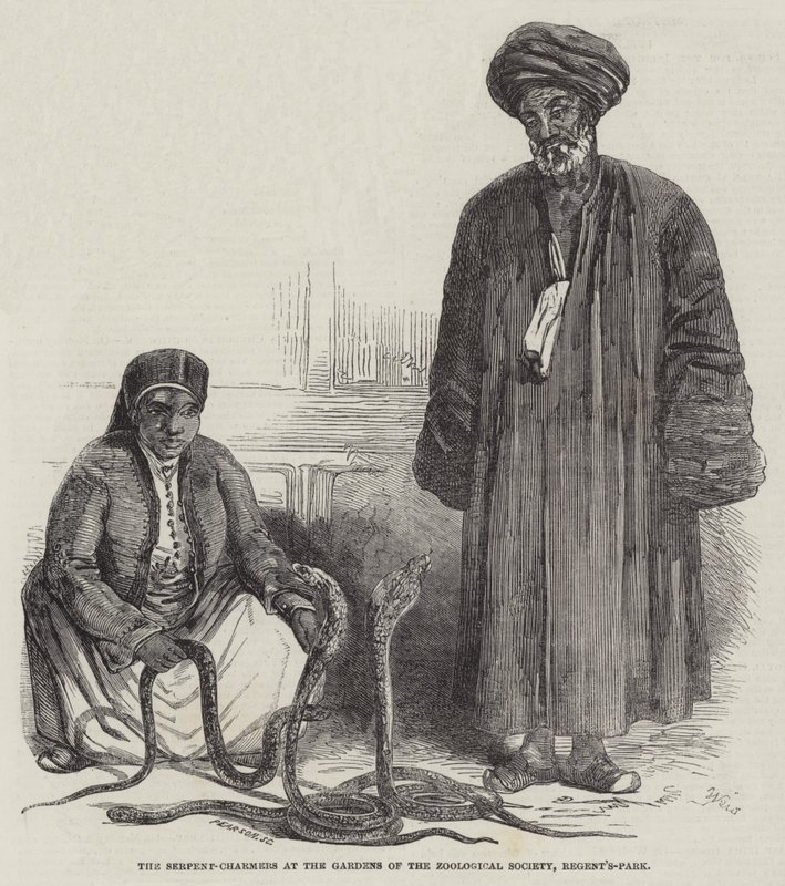 The Serpent-Charmers at the Gardens of the Zoological Society، Regent's-Park (نقش) بواسطة مدرسة اللغة الإنجليزية